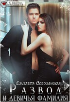 Развод и девичья фамилия / Елизавета Соболянская