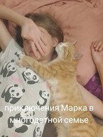 Приключения Марка в многодетной семье. / Елена Лемдясова