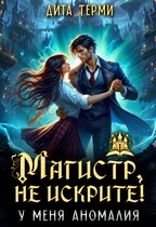 Магистр, не искрите! У меня аномалия / Дита Терми
