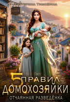 Пять правил домохозяйки. Отчаянная разведёнка / Екатерина Тимошина