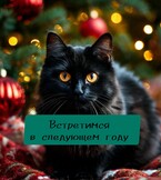 Встретимся в следующем году / Настасия Ермаkkk