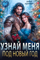 Узнай меня под Новый Год / Дарья Адаревич