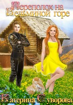 Переполох на Ведьминой горе / Катерина Суворова