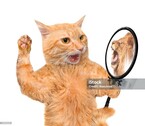 Испорченный праздник или один день из жизни кота Кузьмы / Fantanella