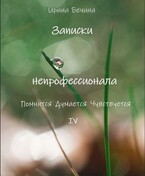 Записки непрофессионала. Помнится. Думается. Чувствуется. / Ирина Бечина