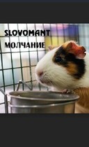 Молчание / Slovomant