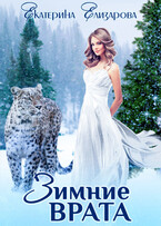 Зимние врата / Екатерина Елизарова
