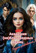 Академия (не)благородных девиц. Безумие заканчивается…? / Елена Дриим