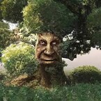 Подаяние / Fantanella
