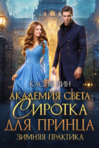 Академия света. Сиротка для принца. Зимняя практика / Касия Рин