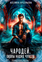 Чародей. Оковы наших чувств / Аселина Арсеньева