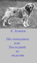 Пёс-попаданец, или Последний из меделян / Константин Бунцев