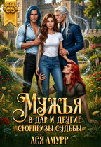 Мужья в дар и другие сюрпризы судьбы / Ася Амурр