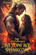 Да гори всё… Фениксом! Том 2 / Анжелика Лиса, Катерина Кот