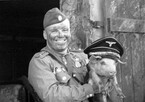 Не многие вернулись с поля… / Андрей Ланиус