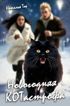 Новогодняя КОТастрофа / Наталья Тар