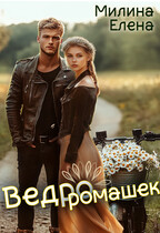 Ведро ромашек / Елена Милина