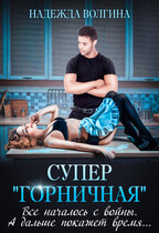 Супер «горничная» / Надежда Волгина