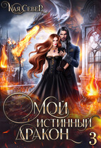 Мой истинный дракон. Сила его ярости. Серия 3 / Кая Север