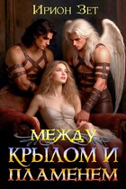 Между крылом и пламенем / Ирион Зет